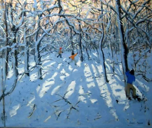 Winterwald, in der Nähe von Newhaven, Derbyshire